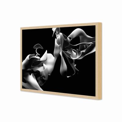 Abstracto 3D - ByN