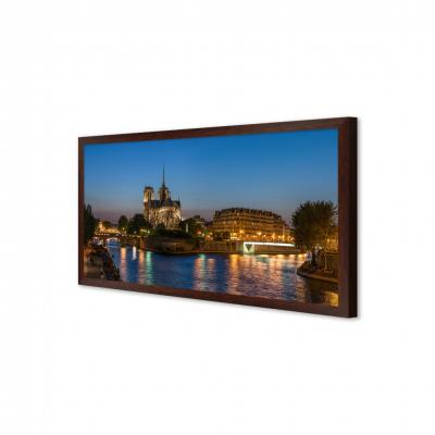 NOTRE DAME, PARIS - FRANCIA 98712
