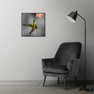 CUADRO COLIBRI