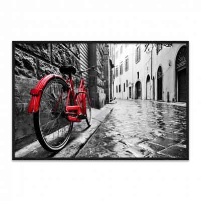 CUADRO BICICLETA APOYADA
