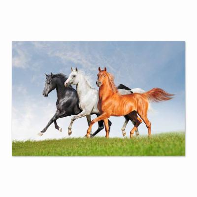 TRES CABALLLOS 94998