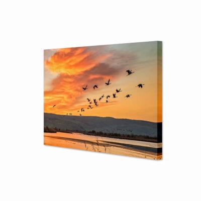 AVES EN EL ATARDECER 12044