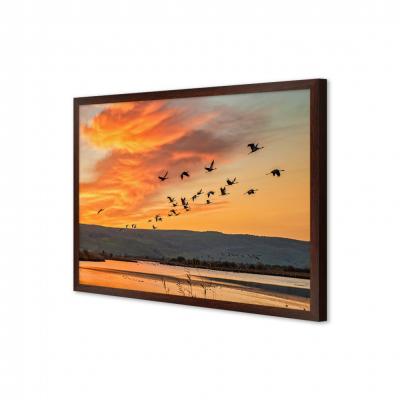 AVES EN EL ATARDECER 12044