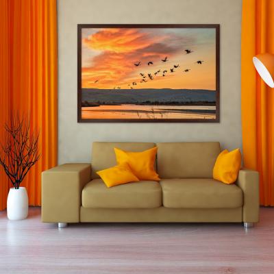 AVES EN EL ATARDECER 12044