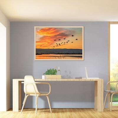 AVES EN EL ATARDECER 12044