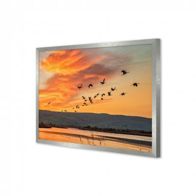 AVES EN EL ATARDECER 12044