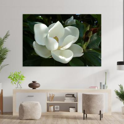 MAGNOLIA BLANCA 21166