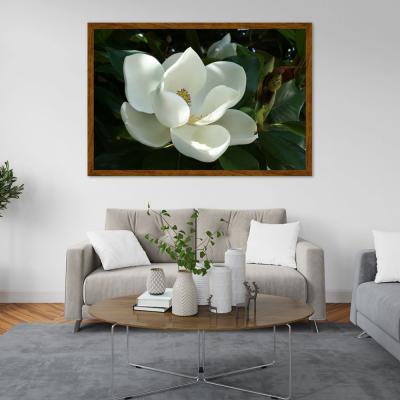 MAGNOLIA BLANCA 21166