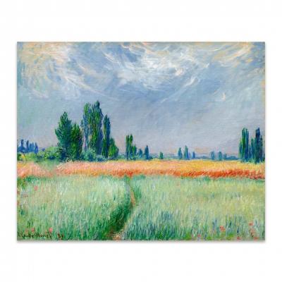 CAMPO DE TRIGO, MONET