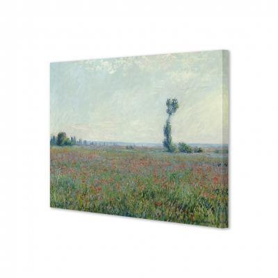 CAMPO DE AMAPOLAS, MONET