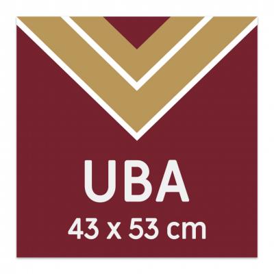 Marco Estandar UBA