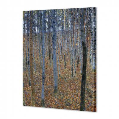 HAYAL I, KLIMT