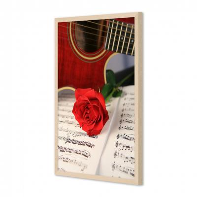 GUITARRA Y ROSA 1