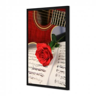 GUITARRA Y ROSA 1