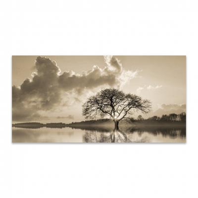 ARBOL EN EL LAGO