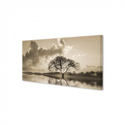 ARBOL EN EL LAGO