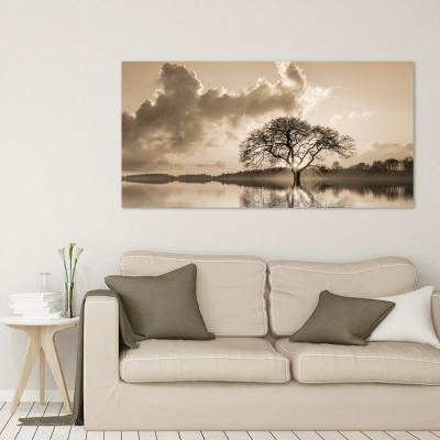 ARBOL EN EL LAGO