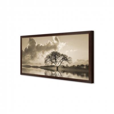 ARBOL EN EL LAGO
