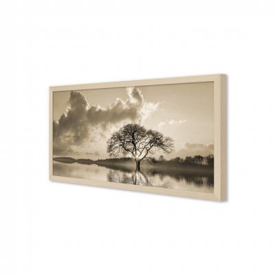 ARBOL EN EL LAGO