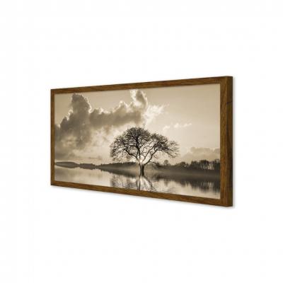 ARBOL EN EL LAGO