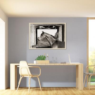 CABALLO EN LA VENTANA