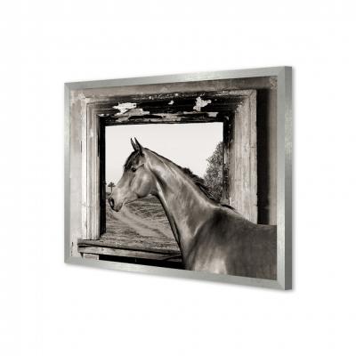 CABALLO EN LA VENTANA