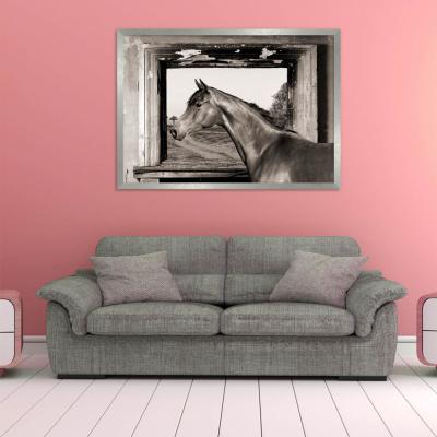 CABALLO EN LA VENTANA