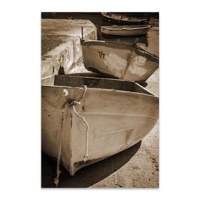 BOTES LISTOS