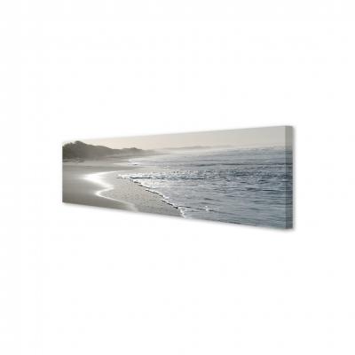 ORILLA