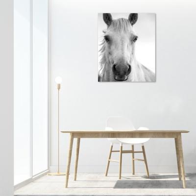 MIRADA CABALLO