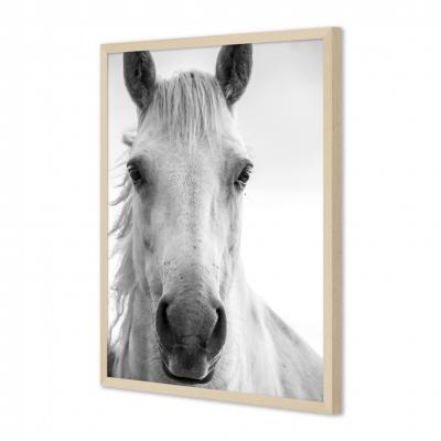 MIRADA CABALLO