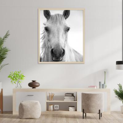 MIRADA CABALLO
