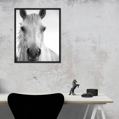 MIRADA CABALLO