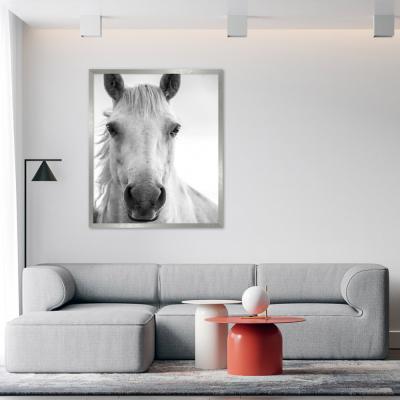 MIRADA CABALLO