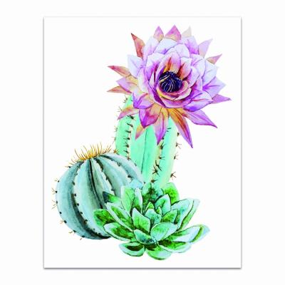 CACTUS CON FLOR