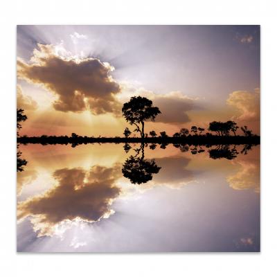 ARBOLES EN EL LAGO