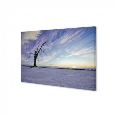 PAISAJE NEVADO