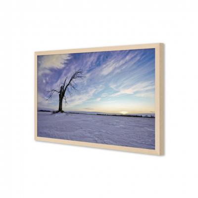 PAISAJE NEVADO