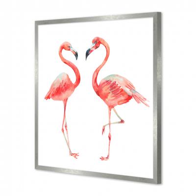 FLAMENCOS