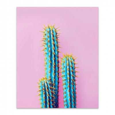 CACTUS CON FONDO ROSA