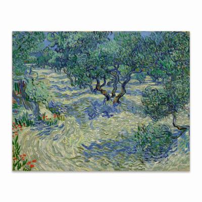 HUERTA DE OLIVOS, VAN GOGH
