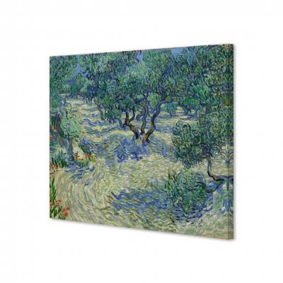 HUERTA DE OLIVOS, VAN GOGH