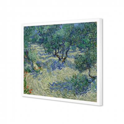 HUERTA DE OLIVOS, VAN GOGH