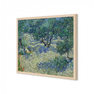 HUERTA DE OLIVOS, VAN GOGH
