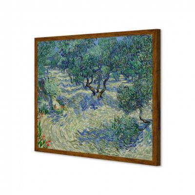 HUERTA DE OLIVOS, VAN GOGH
