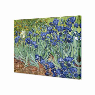 LIRIOS, VAN GOGH