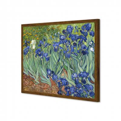 LIRIOS, VAN GOGH