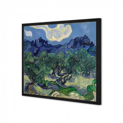 OLIVOS, VAN GOGH