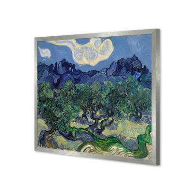 OLIVOS, VAN GOGH