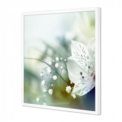 FLORES BLANCAS 276677